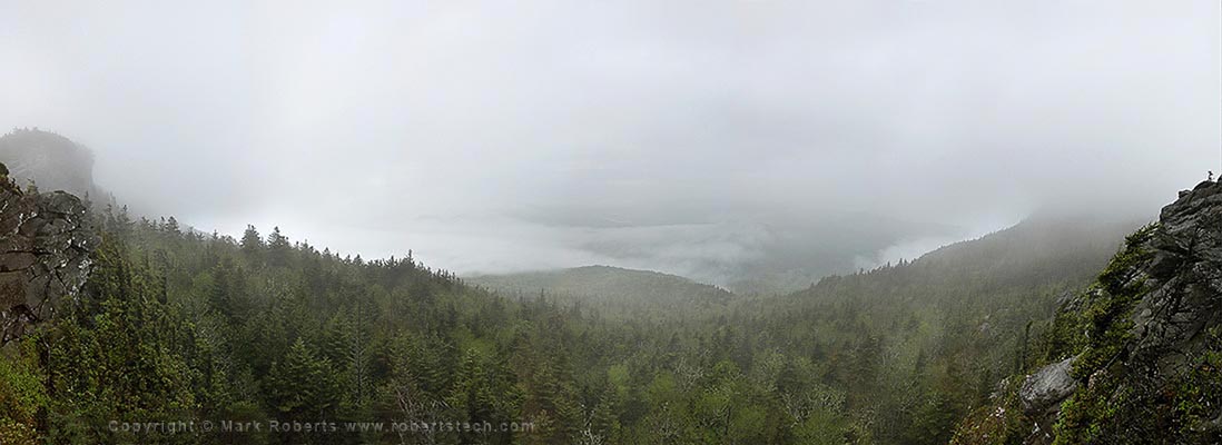 Foggy Morning on Grandfather Mountain - 7d501994