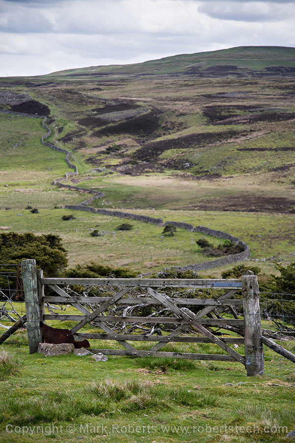 Wooden Gate and Dry Stone Walls - 7e202450.jpg