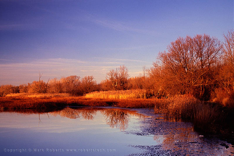 7d106028 - Quaker Pond